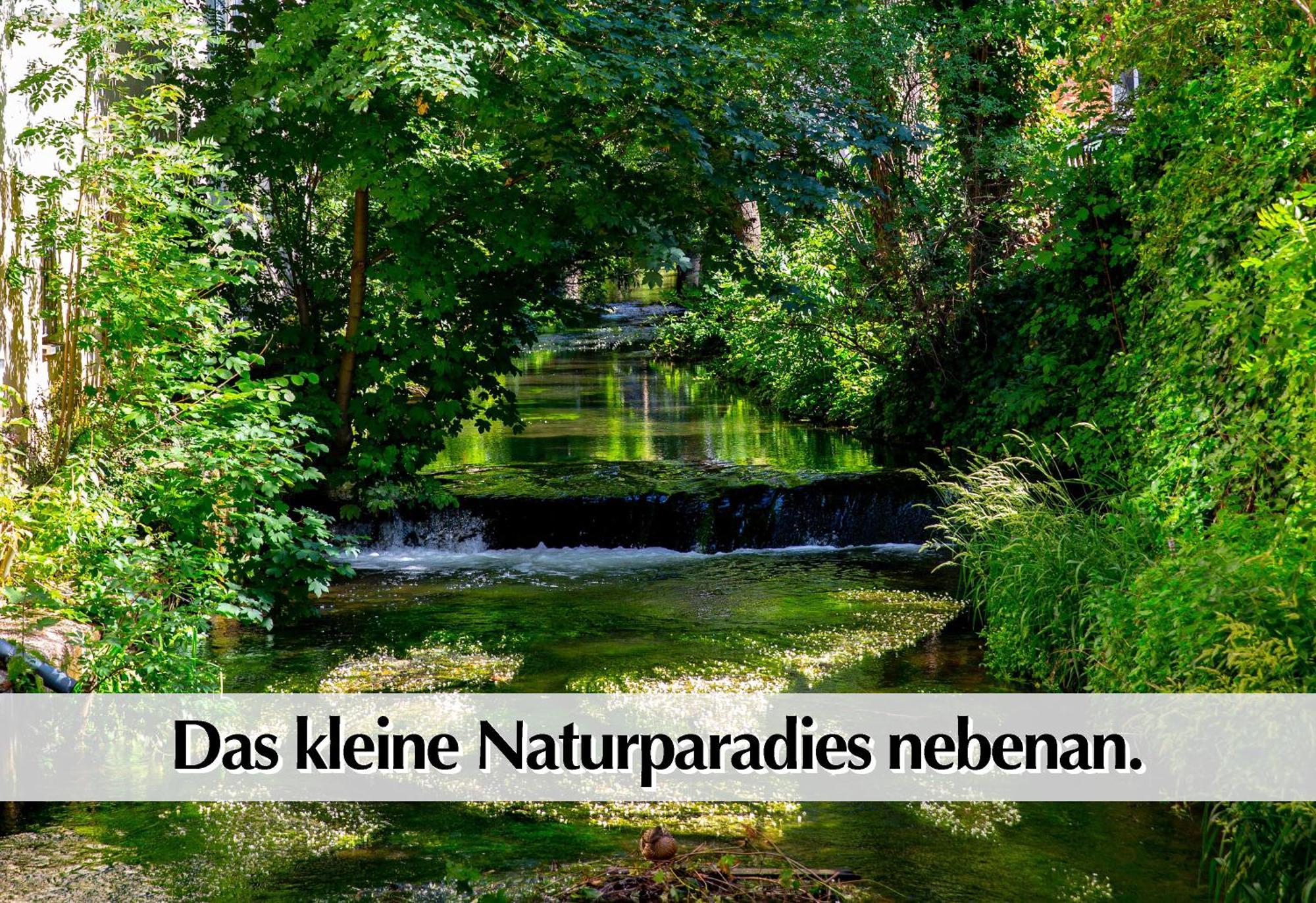 Stadtperle Am Plaetschernden Wasser - 50M2 2R Malerische Fewo In Top Lage Erfurt Bagian luar foto